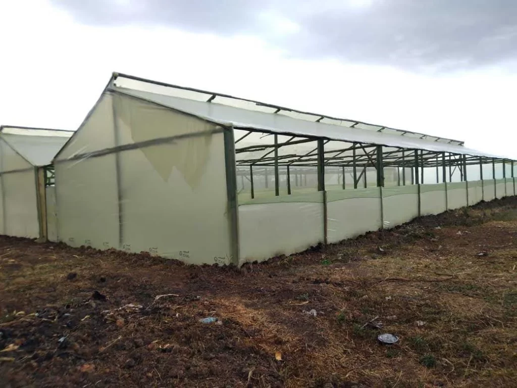 WoodChem-Traders-Agricultural-(2)