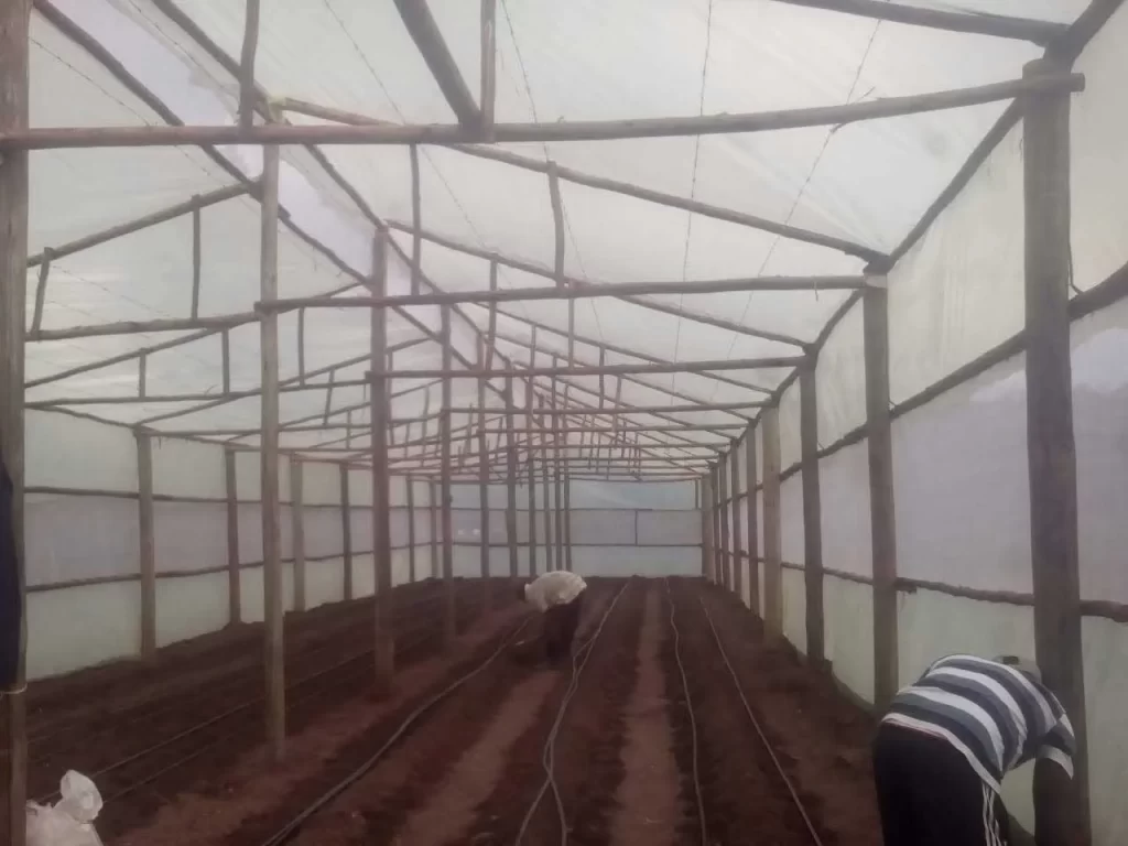 WoodChem-Traders-Agricultural-(4)