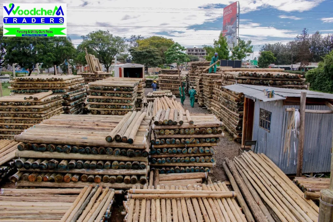 Treated Fencing Posts in Nairobi County